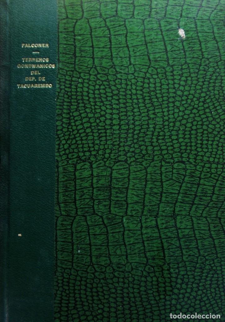 Libros antiguos: Terrenos Gondwanicos Departamento de Tacuarembo Uruguay 1931 Mapa Ilustraciones