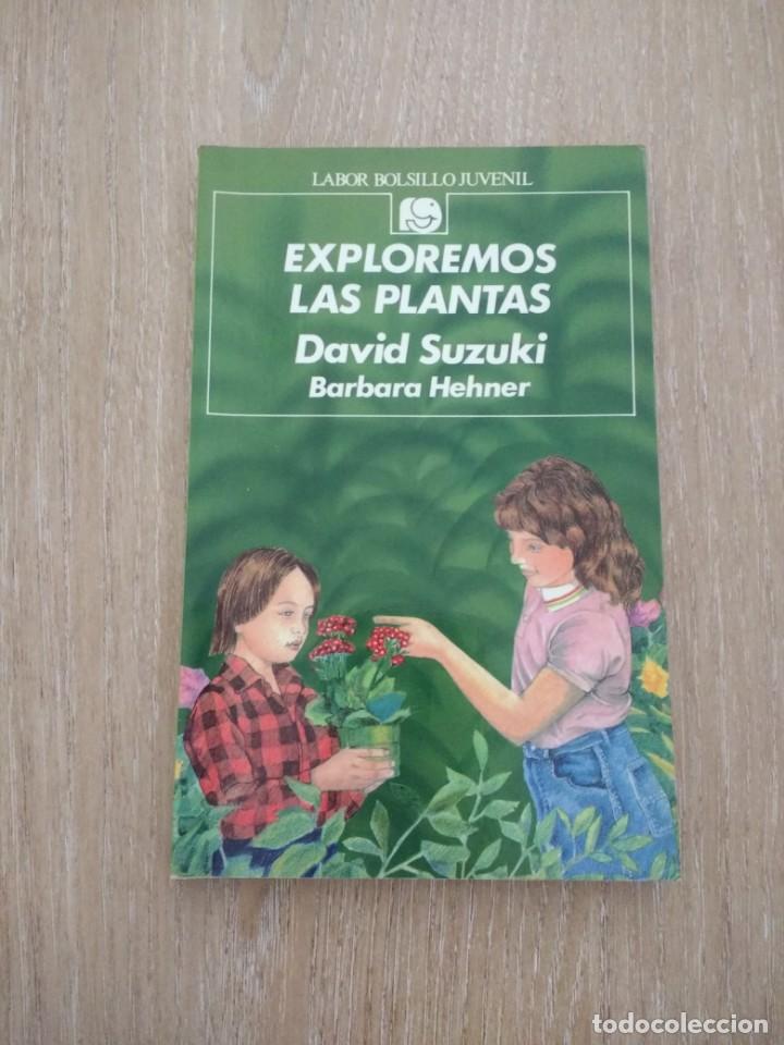 Libros antiguos: LOTE 3 LIBROS &laquo;EXPLOREMOS....&raquo; LABOR BOLSILLO JUVENIL - Foto 2