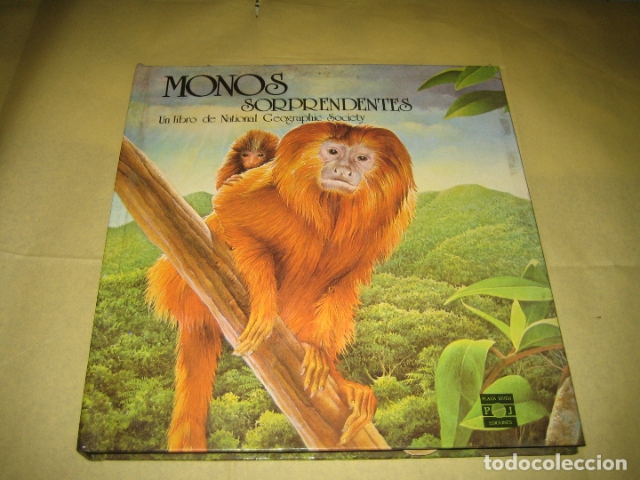 libros animados - monos sorprendentes - ver fot - Compra venta en  todocoleccion