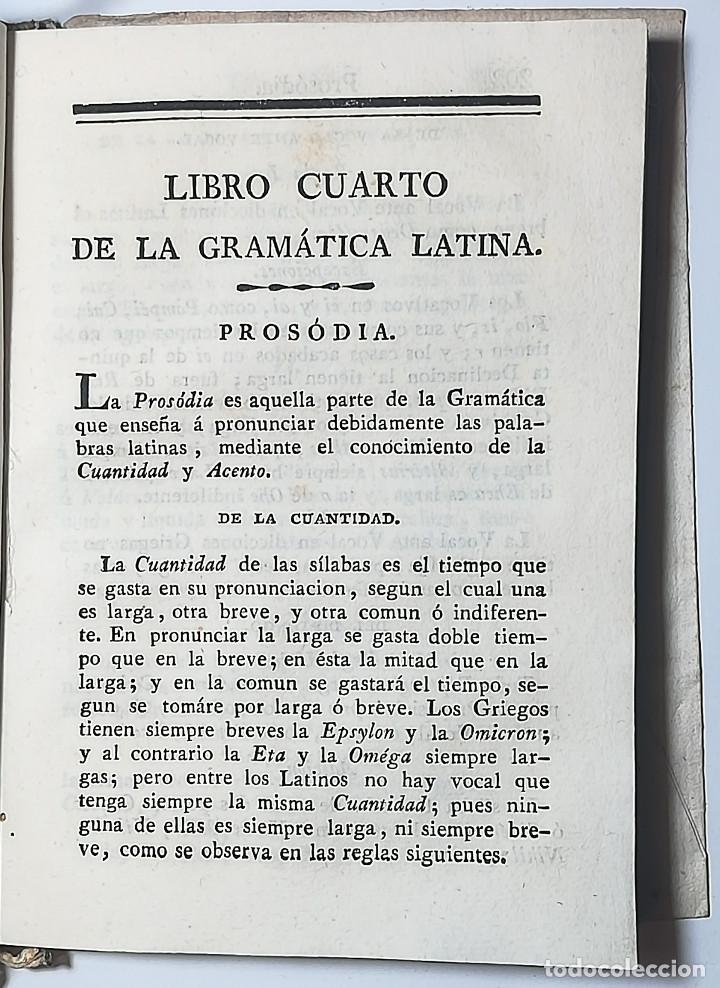 Libros antiguos: GRAMATICA LATINA EN CASTELLANO - JOSE CARRILLO - 1828 - Foto 10