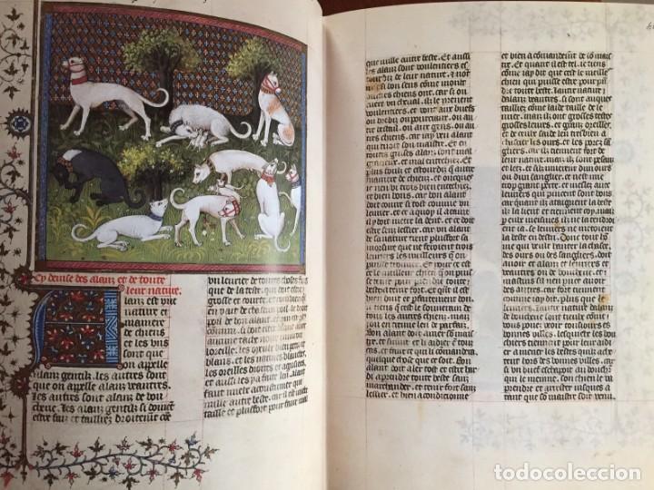 Libros antiguos: LIBRO DE LA CAZA (EDICI&Oacute;N FACS&Iacute;MIL) - Foto 5