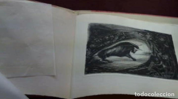 Libros antiguos: ESTAMPAS TAURINAS - Foto 2