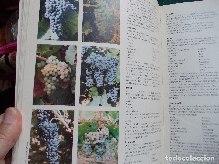 Libros antiguos: CURSO DE VINOS ESPA&Ntilde;OLES - Foto 2