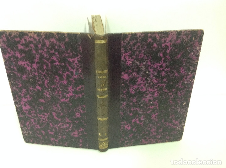 Libros antiguos: J. ORTEGA MUNILLA LA CIGARRA 1879 - Foto 2