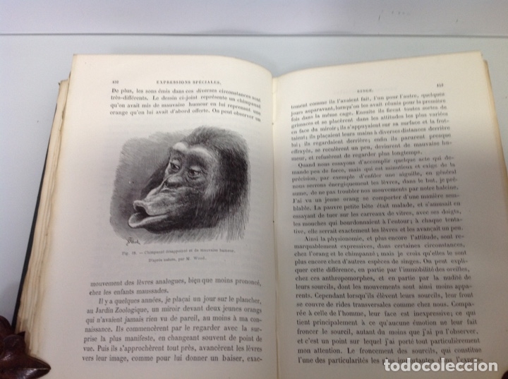 Libros antiguos: CHARLES DARWIN L&rsquo;EXPRESSION DES EMOTIONS 1877 - Foto 2