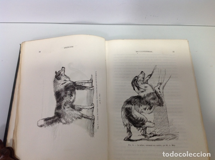 Libros antiguos: CHARLES DARWIN L&rsquo;EXPRESSION DES EMOTIONS 1877 - Foto 3