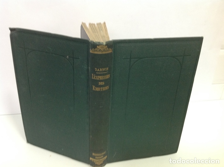 Libros antiguos: CHARLES DARWIN L&rsquo;EXPRESSION DES EMOTIONS 1877 - Foto 5