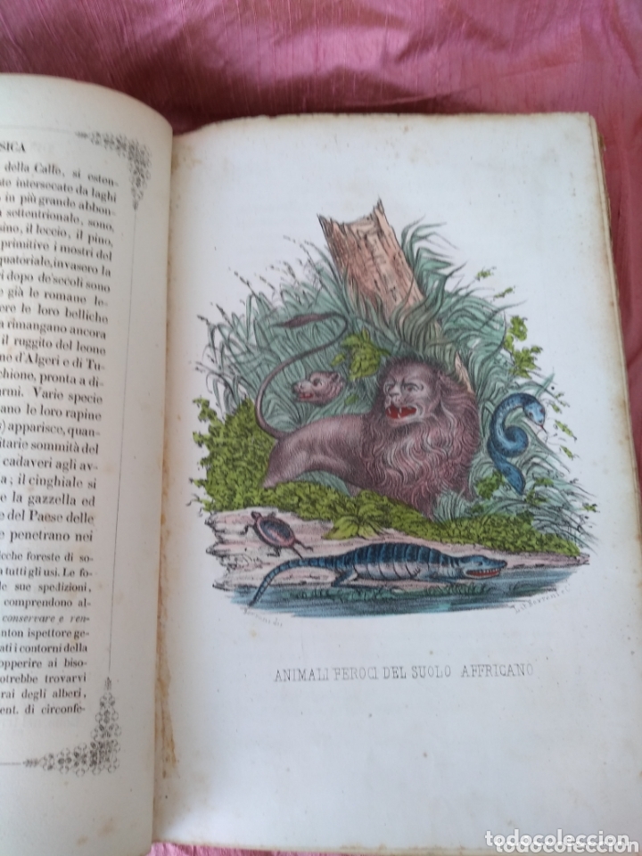 Libros antiguos: Storia Dalgeri .Antica e Moderna. - Foto 4