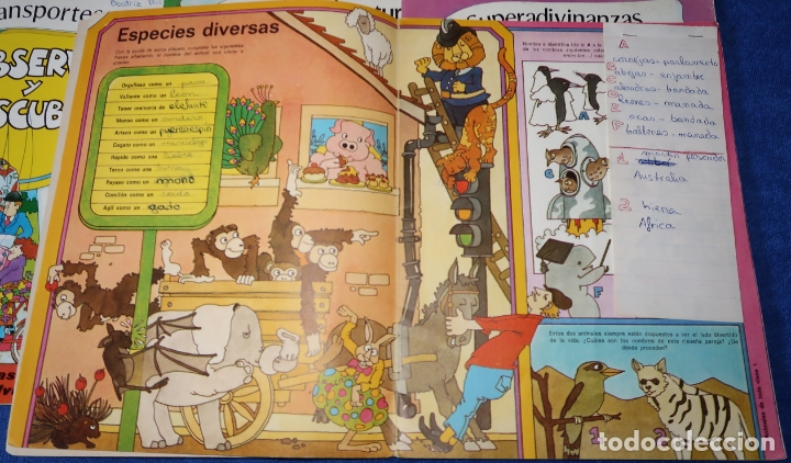 Libros antiguos: Observa y Descubre - Ediciones SM (1979) - Foto 3