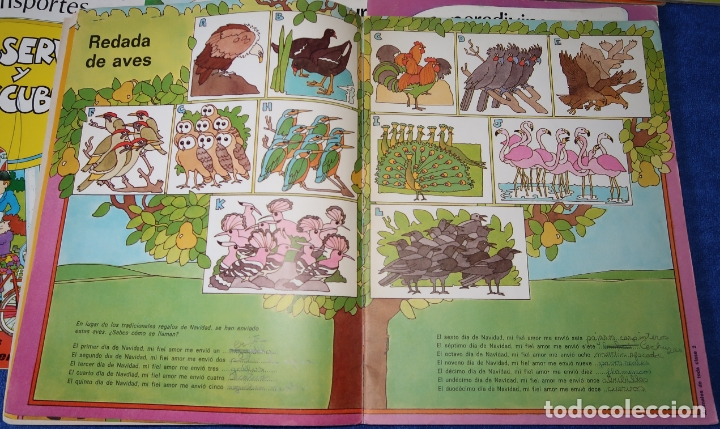 Libros antiguos: Observa y Descubre - Ediciones SM (1979) - Foto 4