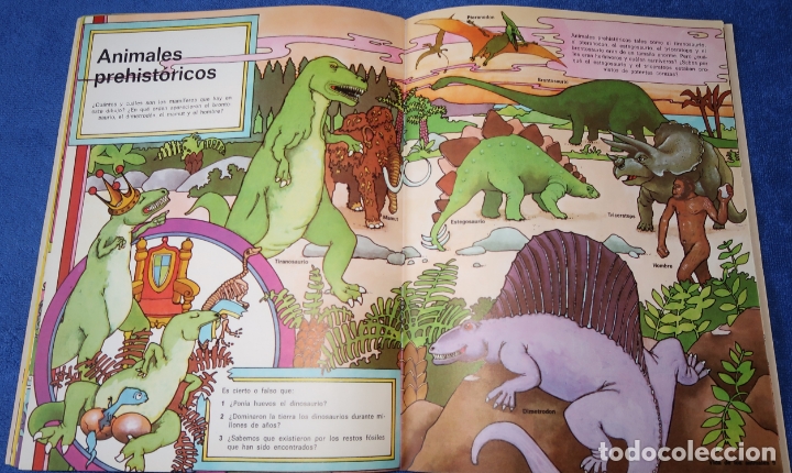 Libros antiguos: Observa y Descubre - Ediciones SM (1979) - Foto 14