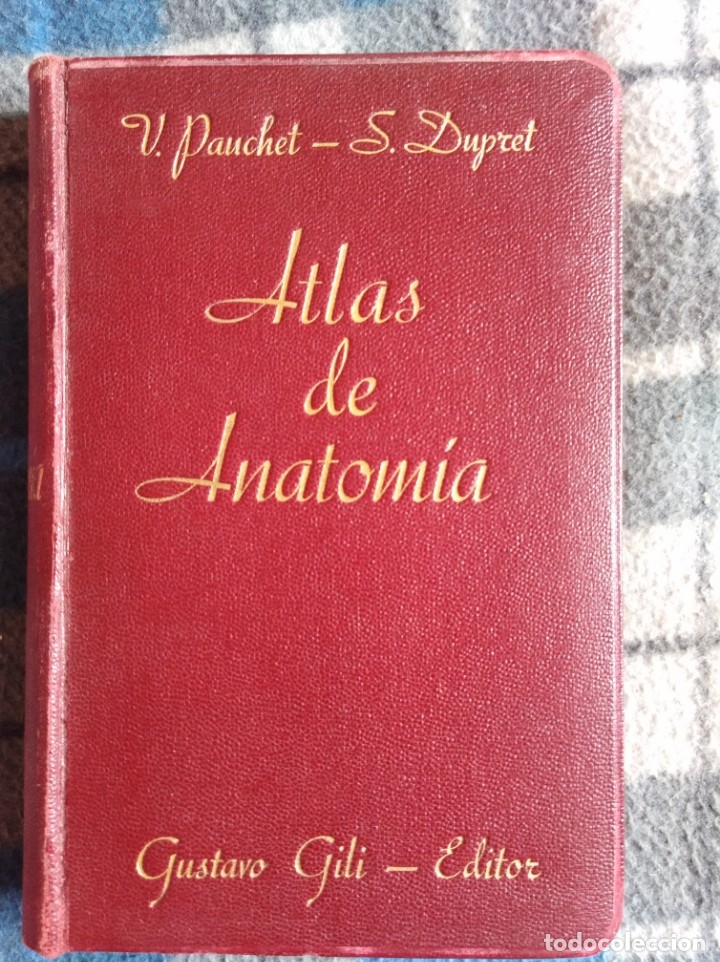 Libros antiguos: Atlas de anatom&iacute;a - (538) - Foto 3