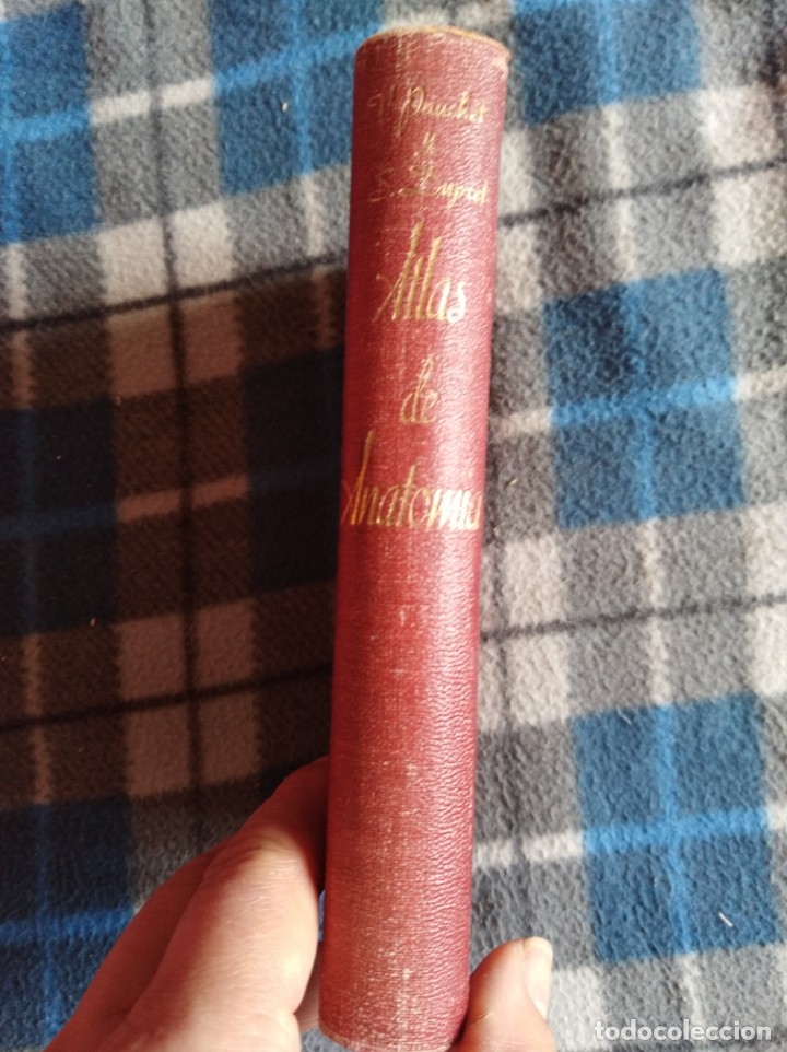 Libros antiguos: Atlas de anatom&iacute;a - (538) - Foto 4