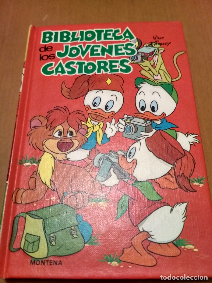 Libros antiguos: Biblioteca de los j&oacute;venes castores - Foto 1