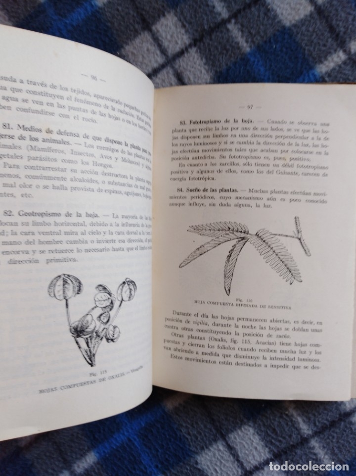 Libros antiguos: Libro antiguo - elementos de bot&aacute;nica -(a&ntilde;o 1930) -(454) - Foto 3