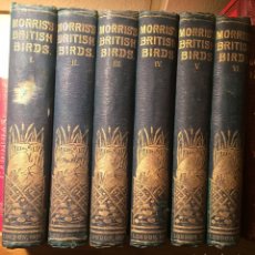 Libros antiguos: AÑO 1891 - MORRIS A HISTORY OF BRITISH BIRDS - 394 LITOGRAFÍAS PÁJAROS - AVES
