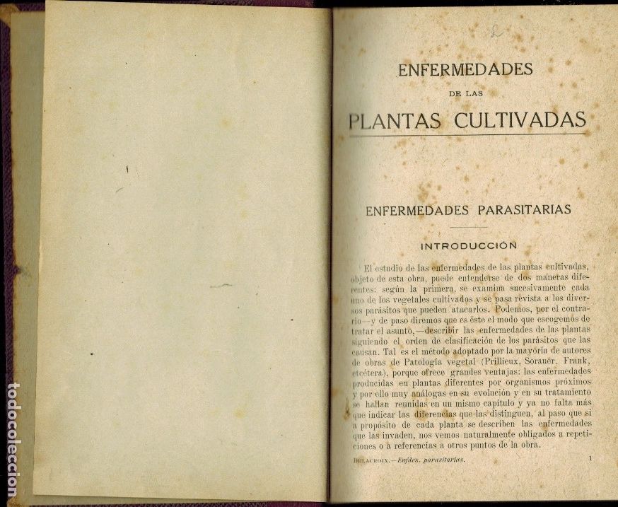 Libri antichi: ENFERMEDADES DE LAS PLANTAS CULTIVADAS. ENFERMEDADES PARASITARIAS: por Jorge Delacroix