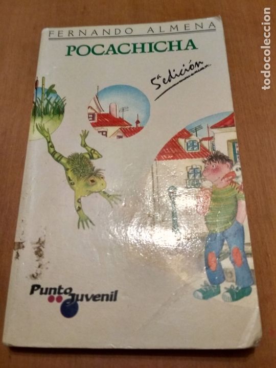 Libri antichi: Pocachicha Fernando almena punto juvenil