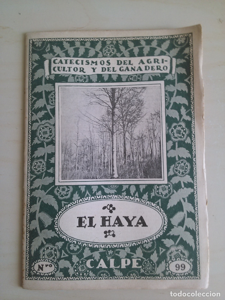 Libros antiguos: El Haya. Luis Velaz de Medrano - Foto 1