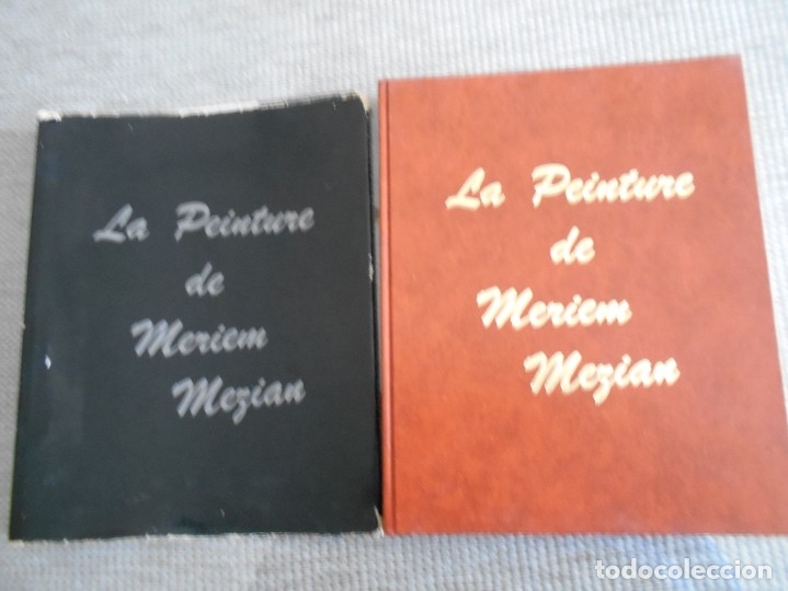 Libri antichi: libro de pintura de meriem mezian