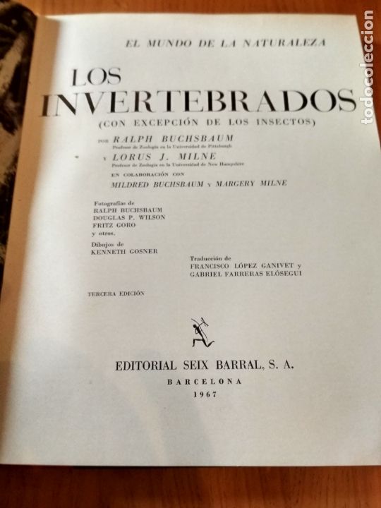 Libros antiguos: Los invertebrados - Foto 2
