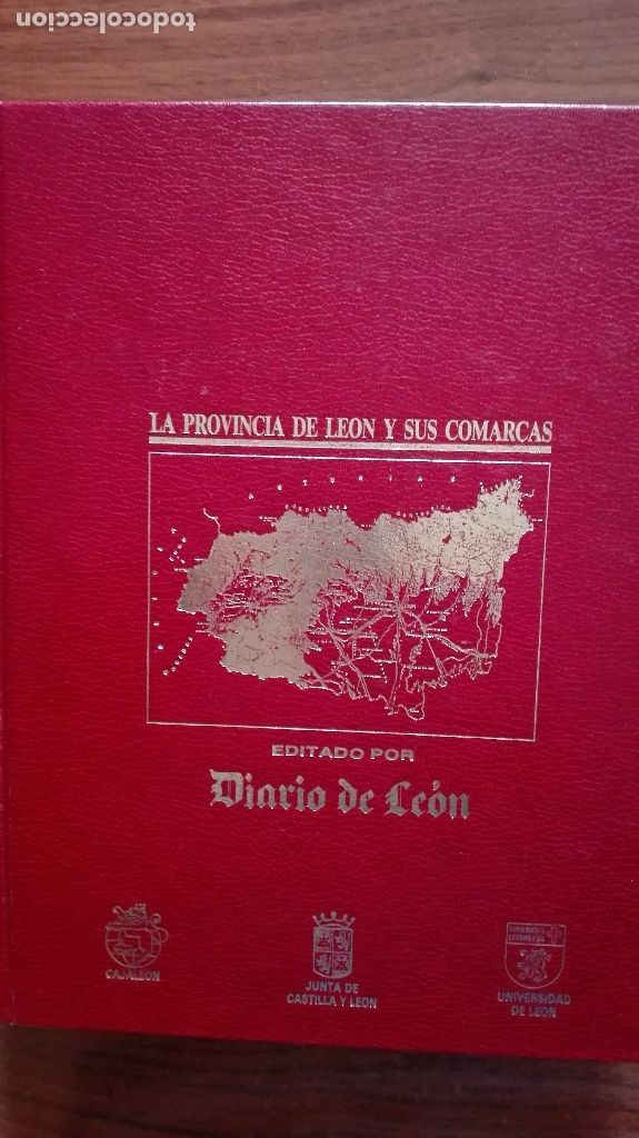 Libros antiguos: LA PROVINCIA DE LEON - Foto 1