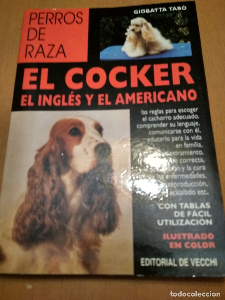 Libros antiguos: El cocker el ingl&eacute;s y el americano - Foto 1