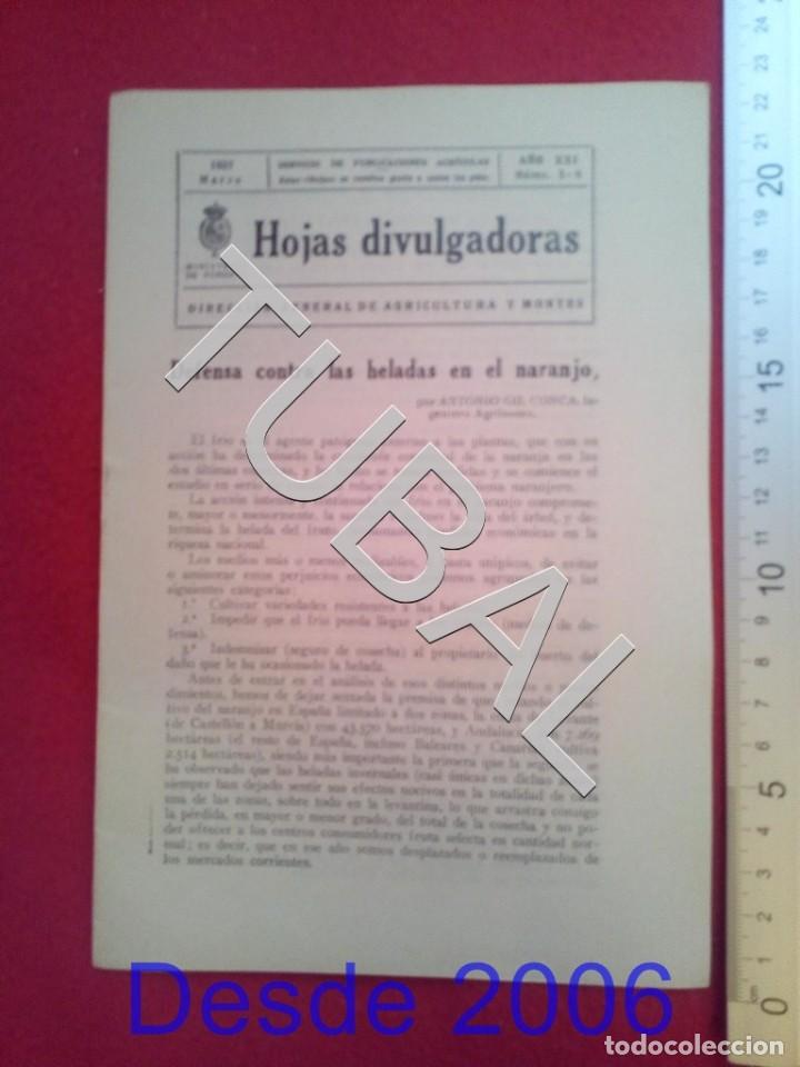 Old books: TUBAL 1927 HELADAS NARANJO HOJAS DIVULGADORAS AGRICULTURA MARZO 5 6  2 ENV&Iacute;O 1 &euro; 2019 U14