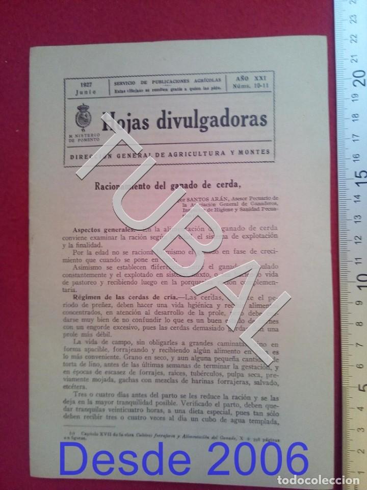 Old books: TUBAL 1927 RACIONAMIENTO GANADO CERDA HOJAS DIVULGADORAS AGRICULTURA JUNIO 10 11 ENV&Iacute;O 1 &euro; 2019 U14
