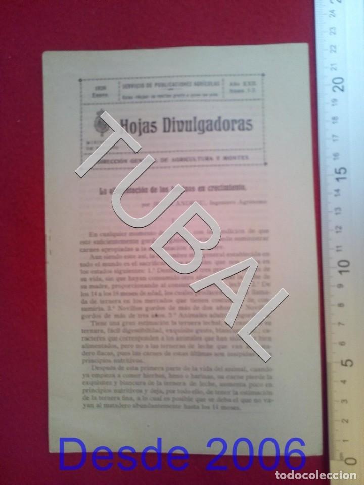 Old books: TUBAL 1928 ALIMENTACION BOVINOS HOJAS DIVULGADORAS AGRICULTURA ENERO 1 2 ENV&Iacute;O 1 &euro; 2019 U14
