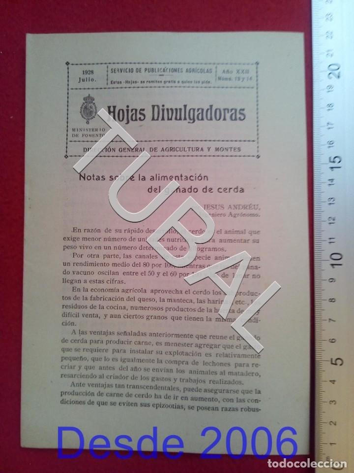 Old books: TUBAL 1928 ALIMENTACION GANADO CERDA HOJAS DIVULGADORAS AGRICULTURA JULIO 13 14 ENV&Iacute;O 1 &euro; 2019 U14