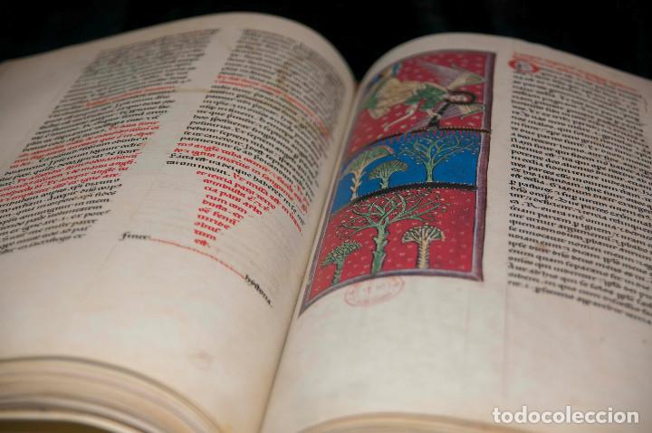 Libros antiguos: Moleiro - Beato de Li&eacute;bana, C&oacute;dice de San Andr&eacute;s de Arroyo - Foto 3