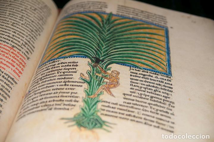 Libros antiguos: Moleiro - Beato de Li&eacute;bana, C&oacute;dice de San Andr&eacute;s de Arroyo - Foto 4