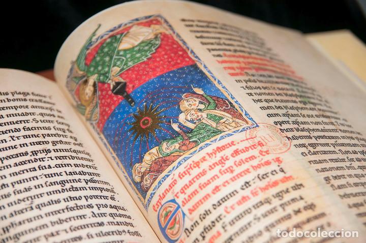 Libros antiguos: Moleiro - Beato de Li&eacute;bana, C&oacute;dice de San Andr&eacute;s de Arroyo - Foto 5