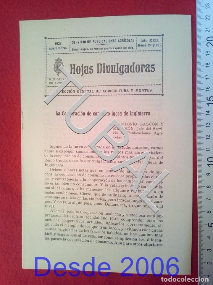 Old books: TUBAL 1928 LA COOPERACION DE CONSUMO  HOJAS DIVULGADORAS AGRICULTURA NOVIEMBRE 21 ENV&Iacute;O 1 &euro; 2019 U14