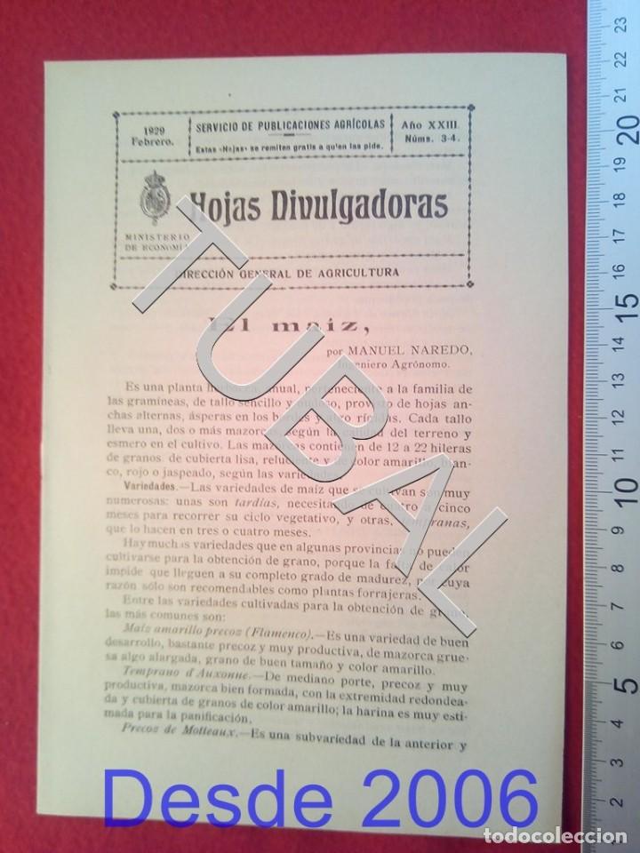 Old books: TUBAL 1929 EL MAIZ HOJAS DIVULGADORAS AGRICULTURA FEBRERO 3 ENV&Iacute;O 1 &euro; 2019 U14