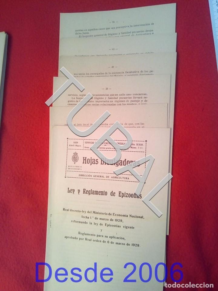 Old books: TUBAL 1929 LEY Y REGLAMENTO DE EPIZOOTIAS HOJAS DIVULGADORAS AGRICULTURA ABRIL 7 ENV&Iacute;O 1 &euro; 2019 U14