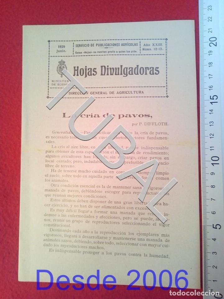 Old books: TUBAL 1929 LA CRIA DE PAVOS HOJAS DIVULGADORAS AGRICULTURA JUNIO 12 ENV&Iacute;O 1 &euro; 2019 U14