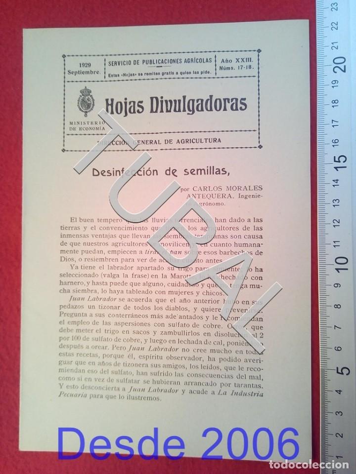 Old books: TUBAL 1929 DESINFECCION DE SEMILLAS HOJAS DIVULGADORAS AGRICULTURA SEPTIEMBRE 17 ENV&Iacute;O 1 &euro; 2019 U14