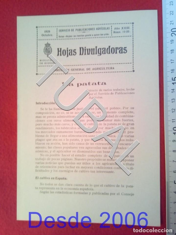 Old books: TUBAL 1929 LA PATATA HOJAS DIVULGADORAS AGRICULTURA OCTUBRE 19 ENV&Iacute;O 1 &euro; 2019 U14