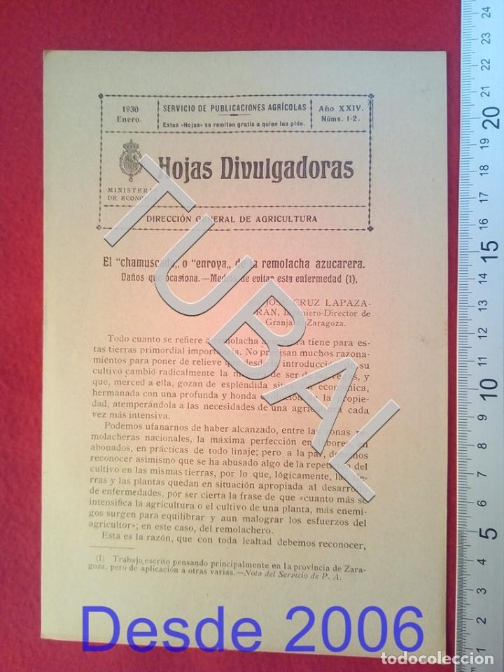 Old books: TUBAL 1930 EL CHAMUSCADO O ENROYA HOJAS DIVULGADORAS AGRICULTURA ENERO 1 ENV&Iacute;O 1 &euro; 2019 U14