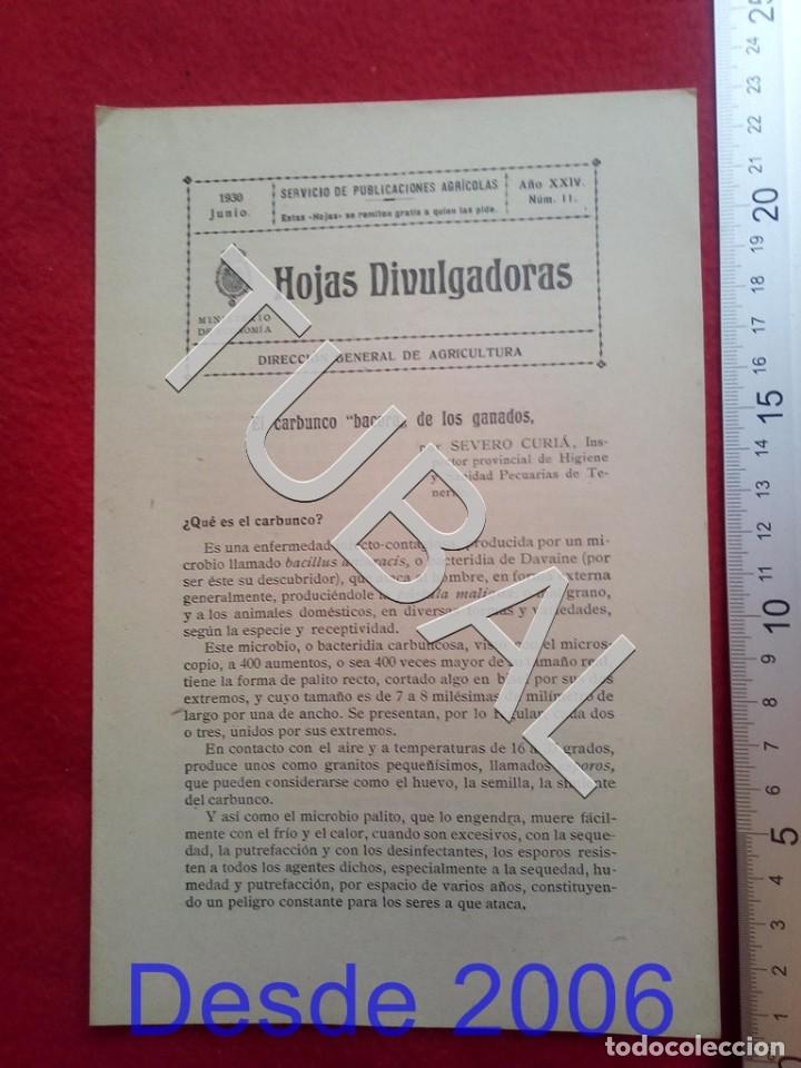 Old books: TUBAL 1930 EL CARBUNCO BACERA HOJAS DIVULGADORAS AGRICULTURA JUNIO 11 ENV&Iacute;O 1 &euro; 2020 U14