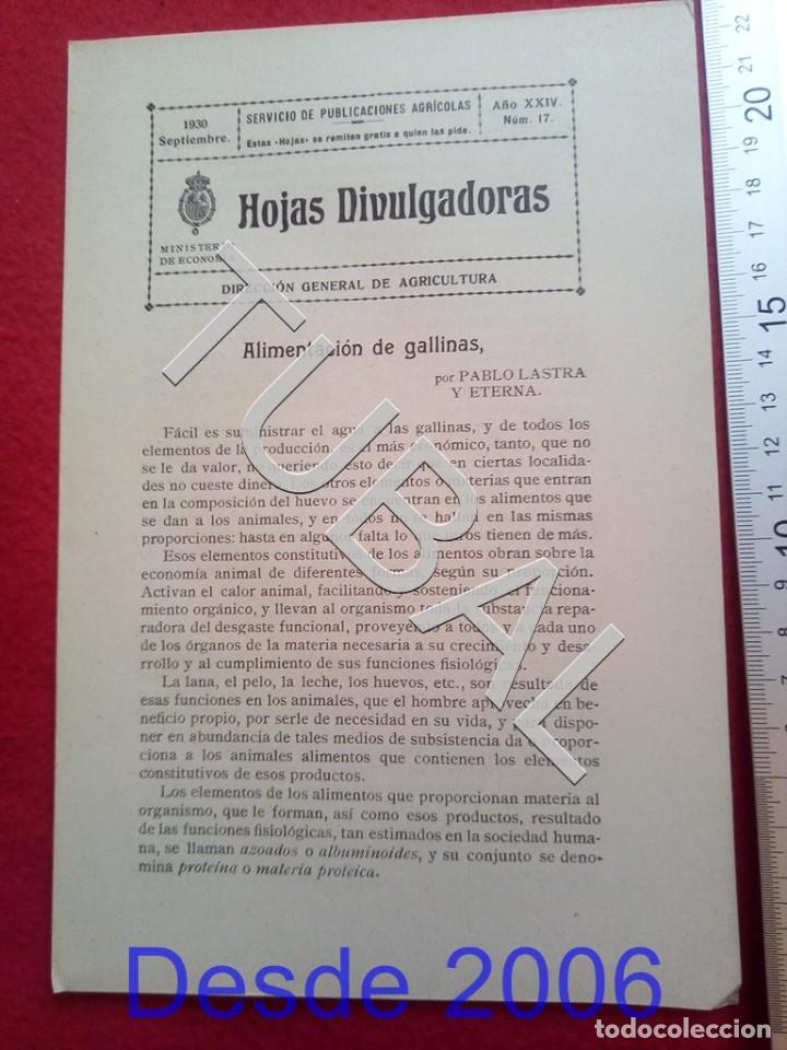 Old books: TUBAL 1930 ALIMENTACION DE GALLINAS HOJAS DIVULGADORAS AGRICULTURA SEPTIEMBRE 17 ENV&Iacute;O 1 &euro; 2020 U14