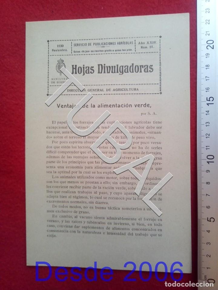 Old books: TUBAL 1930 ALIMENTACION VERDE HOJAS DIVULGADORAS AGRICULTURA NOVIEMBRE 21 ENV&Iacute;O 1 &euro; 2020 U14