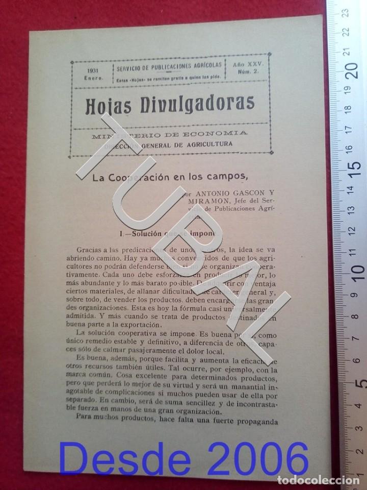Old books: TUBAL 1931 COOPERACION EN LOS CAMPOS HOJAS DIVULGADORAS AGRICULTURA ENERO 2 ENV&Iacute;O 1 &euro; 2020 U14