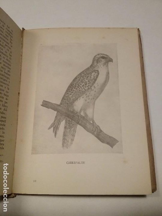 Libros antiguos: Libro de la caza - Foto 2