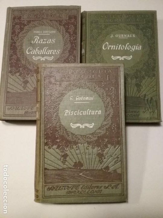 Libros antiguos: Enciclopedia agr&iacute;cola (3 tomos) - Foto 2