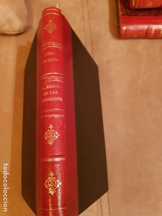 Libros antiguos: Del &aacute;rbol de las hesp&eacute;rides - Foto 1