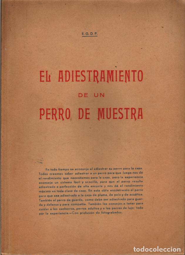 Libros antiguos: ADIESTRAMIENTO DE UN PERRO DE MUESTRA, EL - Foto 1