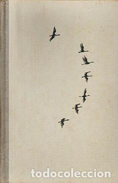 Old books: AL AFRICA TRAS LAS AVES DE PASO